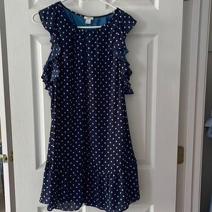 J Crew Polka Dot Dress